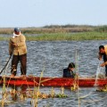 lake_burullus