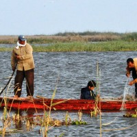 lake_burullus